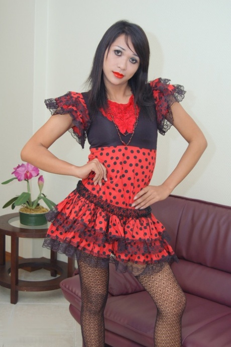 Ladyboy-Strümpfe xxx nette galerie
