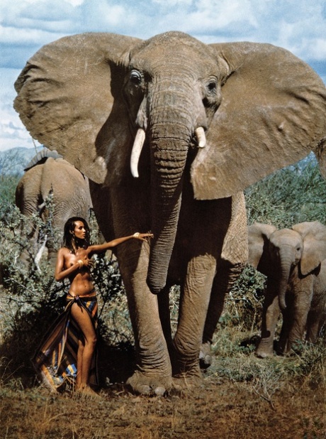 Iman naked actress image