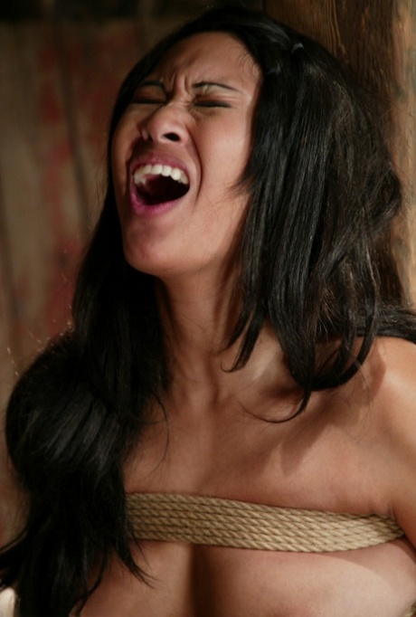 Chyna pornstar top image