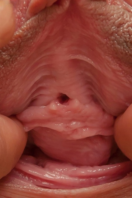indian pussy free porn image