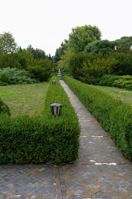 outdoor bdsm pretty image